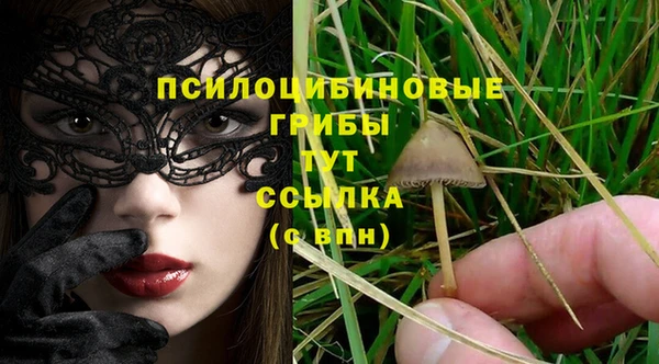 крисы Алексеевка