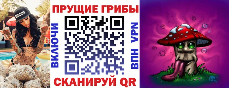 Галлюциногенные грибы Psilocybe Багратионовск