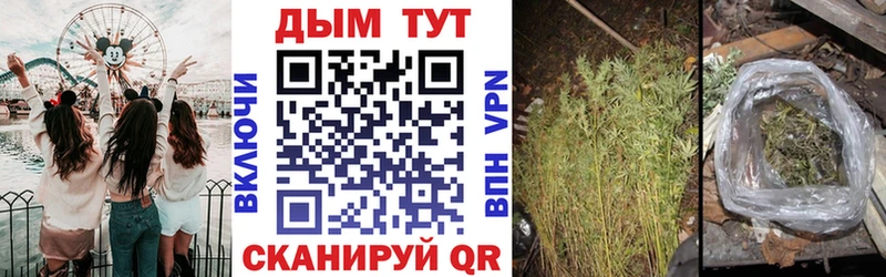 Марихуана тримм  ОМГ ОМГ   Багратионовск 